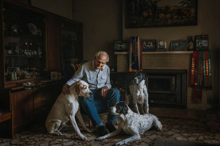 Green Room: Top dogs at Roche gallery | SALA award winners | UKARIA’s Stradivari gift - InReview