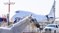 Passports, an airport lounge and 'luxury' air stalls: How horses fly into the Spruce Meadows Masters