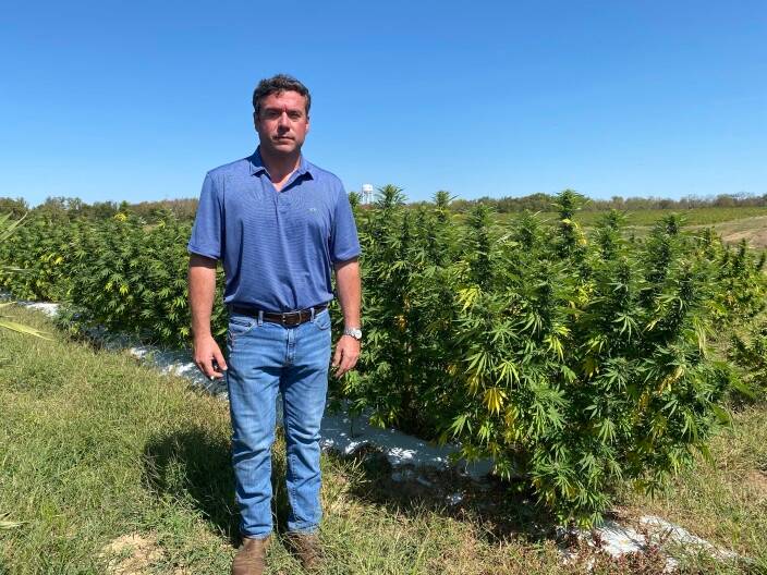Kentucky hemp farmers urge McConnell in letter to not ‘criminalize’ their harvest