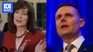 SA Deputy Premier Susan Close and Treasurer Stephen Mullighan to quit politics