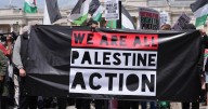 Man arrested after police probe of 'those involved in encouraging Palestine Action support'