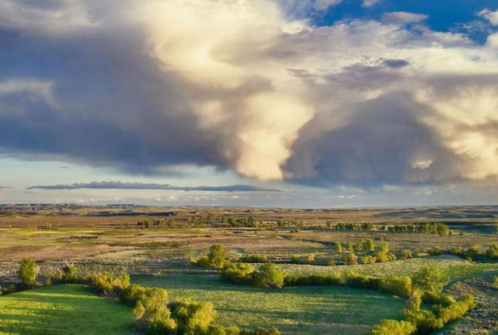 Montana Viewpoint: The ballad of William Sycamore