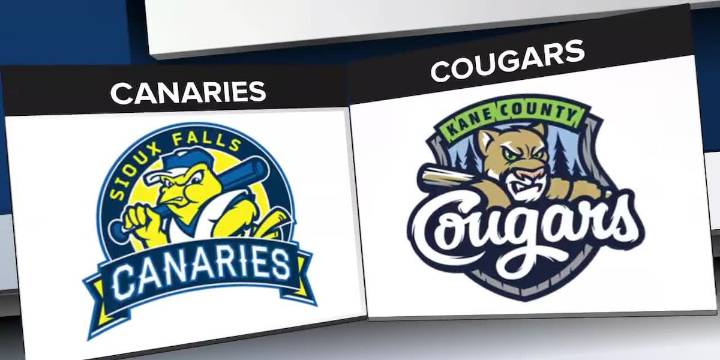 Canaries lose game five of the Miles Wolff Cup Finals, Kane County crowned champions