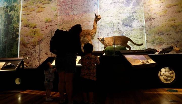 Noche de Museos ya tiene fecha: cuándo recorrerlos gratuitamente