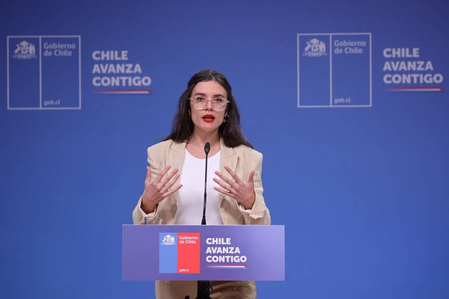 Gobierno definió “tres principios básicos” durante propaganda electoral