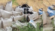 California Dog Left Behind After Eviction Waits In A Box For Family Who Never Returns