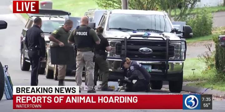 Animal hoarding tips prompt response from police in Watertown
