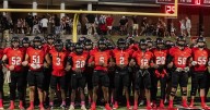 Dogs destroy Westside