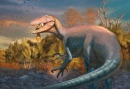 Joaquinraptor casali. El hallazgo de fósiles de un megarraptor amplía el conocimiento de los dinosaurios patagónicos