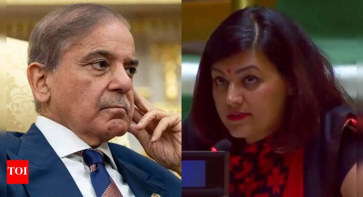 'If destroyed runways look like victory... ': India rejects Shehbaz Shariff's 'bizarre' claims at UN; asks Pakistan to handover terrorists