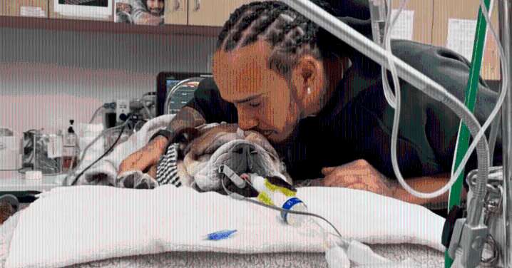 Piloto de Fórmula 1 Lewis Hamilton vive duro momento por salud de su perrito Roscoe: "Estoy a su lado"