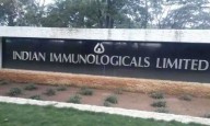 Indian Immunologicals Launches Raksha-IBR, India's First DIVA Vaccine Against IBR