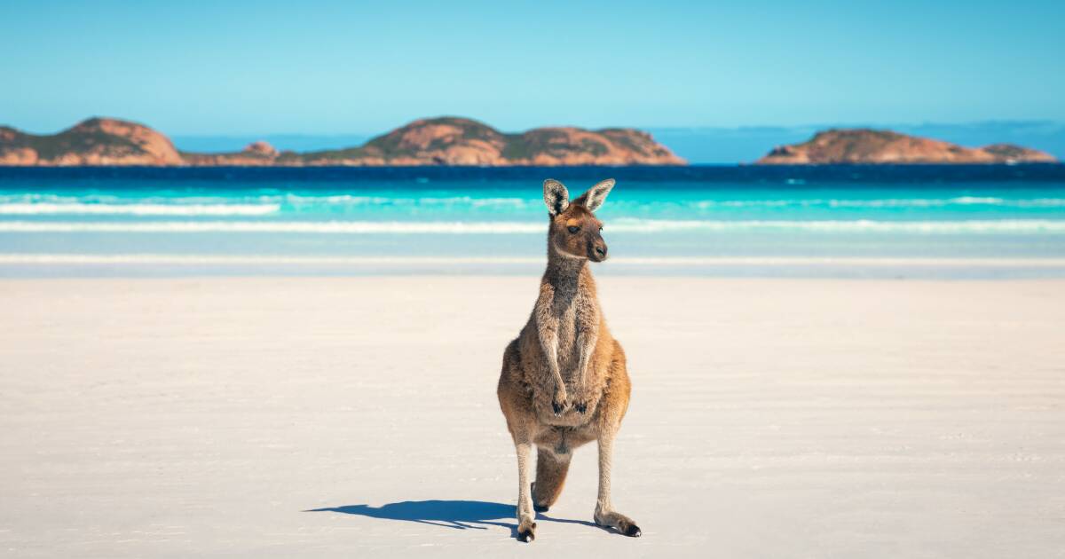 Tourism Australia delays contract management overhaul