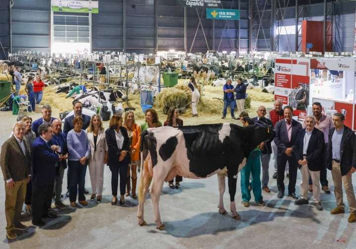 De un chigre sidrero a los clásicos certámenes ganaderos: Agropec, la fiesta del campo, vuelve a Gijón