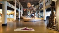 Academy of Natural Sciences will reduce number of days open