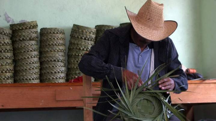 Artesanos de fibras naturales serán premiados por su talento con concurso estatal