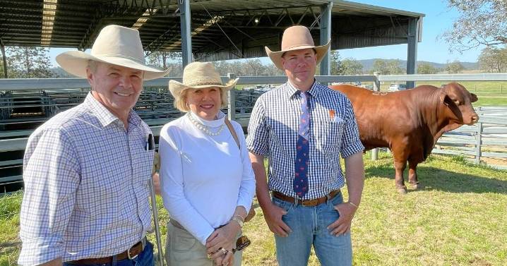 Yulgilbar Santa Gertrudis sets new record price at 2025 annual bull sale