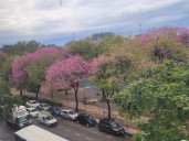 Sábado fresco en Resistencia: ¿llueve mañana?