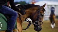 Former UK equine testing lab director fired after internal investigation