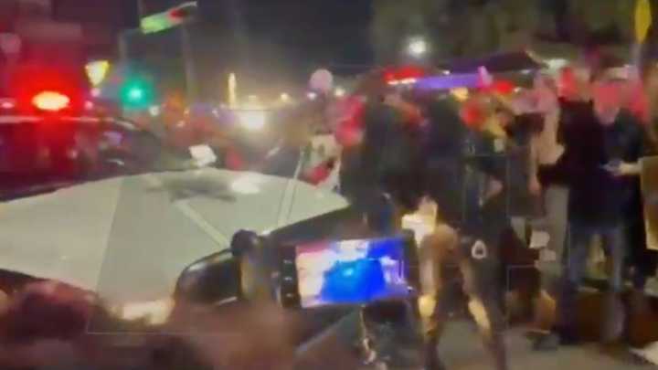 Policías y Manifestantes contra Maltrato Animal se Enfrentan en Santa Catarina, Nuevo León