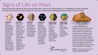 Scientists detected a potential biosignature on Mars – an astrobiologist explains what these traces of life are, and how researchers figure out their source