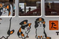 Tama, la gata que salvó una línea férrea en Japón y la convirtió en destino turístico