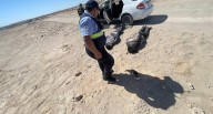 Arequipa: Nueve meses de prisión preventiva a dos investigados por atacar a policías en Majes