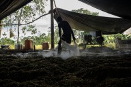 Dos militares, heridos tras un intento por quemarlos vivos en la destrucción de un laboratorio de cocaína en Putumayo