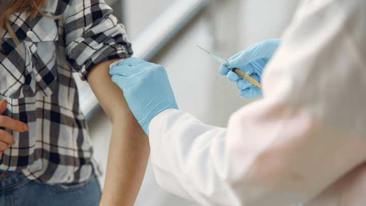 Dengue: a la espera del Aedes aegypti empieza el movimiento para ponerse la vacuna