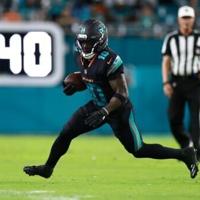 Dolphins' Hill out for season after knee surgery