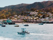 I've fallen for a California island that makes me feel transported to Europe — and it's just a short ferry ride from LA