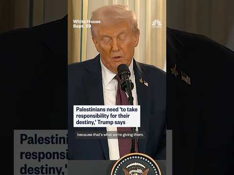 Palestinians need 'to take responsibility for their destiny,' Trump says