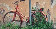 Por pícaro: salteño se llevó una bicicleta y ahora deberá pagar $100 mil
