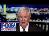 'DEMOCRAT GAMBLE': Gingrich says Schumer is putting 'a lot of Dems at risk