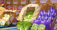 Two great events showcase agriculture amid wine harvest