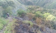 Incendio forestal afectó cinco hectáreas en la vereda San Antonio