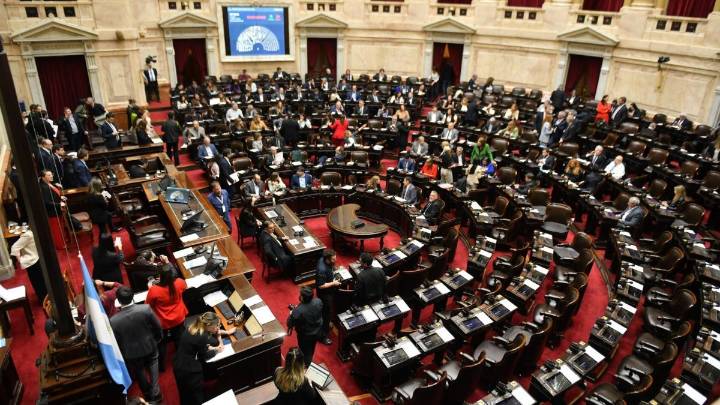 Los diputados rechazaron el veto de Milei a la Ley de Financiamiento Universitario