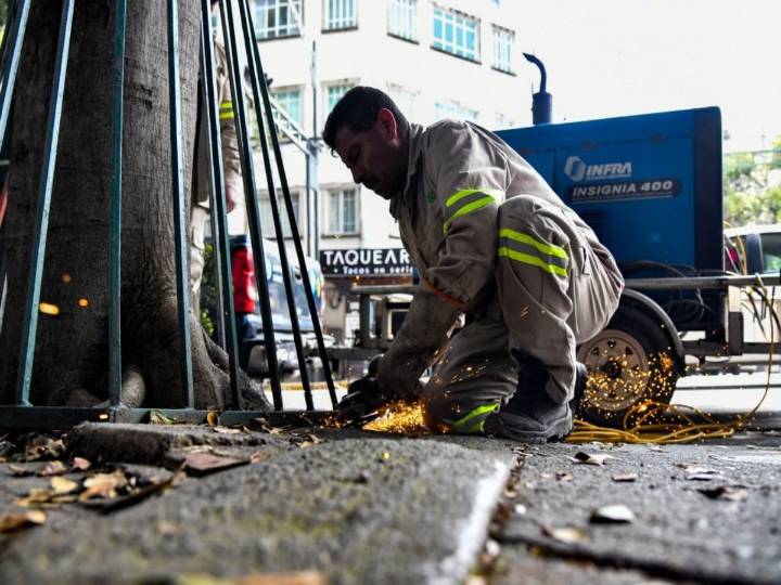 Retiran estructuras metálicas de árboles en colonia Del Valle