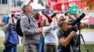 Indianapolis bird watchers spot woodpeckers, falcons and more