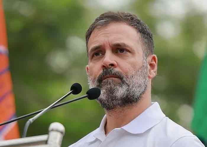 V-P Radhakrishnan, Rahul Gandhi express condolences over stampede in TN