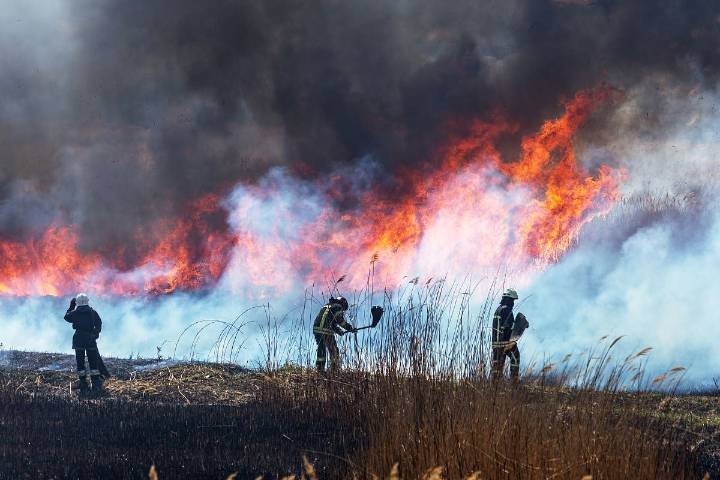 Wildfire Smoke Now Kills 41,000 Americans a Year, Study Finds