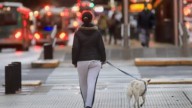 Clima en Buenos Aires: el pronóstico del tiempo para este lunes 8 de septiembre