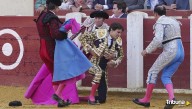 Roca Rey descarta la fractura de costilla y prevé estar en Salamanca tras la cogida sufrida en Valladolid