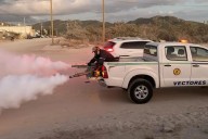 Denuncian falta de fumigación en colonias de BCS; Secretaría de Salud refuerza acciones