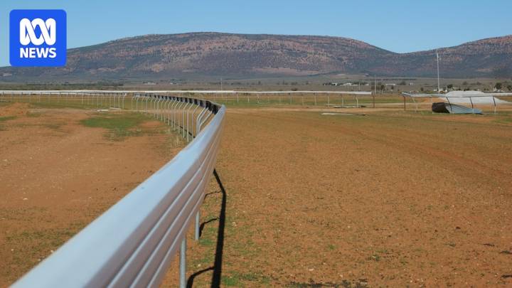 Sport's lifeline for South Australian towns in near