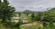 Tamhini Ghat becomes wettest place in India with 9,000 mm rainfall