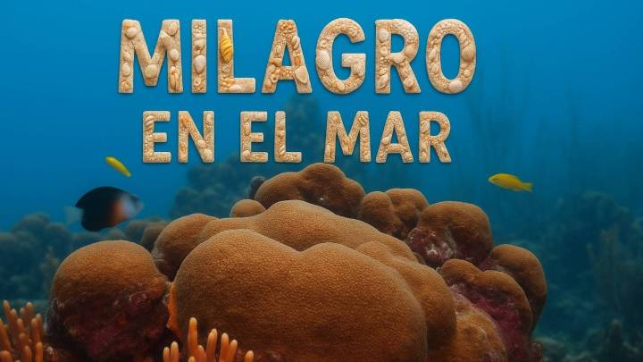 Milagro en el mar: antes de la gran noche