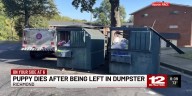 RACC looks for person who left puppy in dumpster