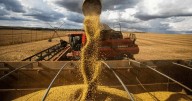 El Gobierno llevó a 0% las retenciones al campo hasta fines de octubre: los detalles del decreto
