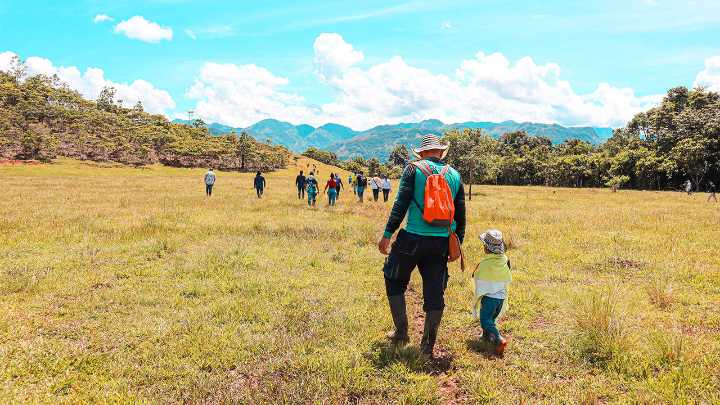 Firmantes de paz en Caquetá recibieron 235 hectáreas para sembrar yuca, café, cacao y caña